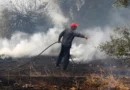 Υπό έλεγχο μικρής έκτασης πυρκαγιά στον Άγιο Μάρκο Κέρκυρας