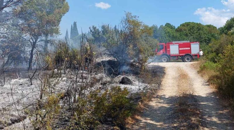 Κέρκυρα: Υπό έλεγχο φωτιά στον δρόμο προς Σπαρτύλα – Άμεση η κινητοποίηση της Πυροσβεστικής