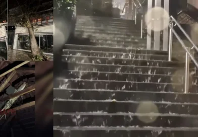 Κακοκαιρία στην Ήπειρο: Πτώσεις δέντρων και πλημμύρες -Κεραυνός άνοιξε τρύπα σε στέγη πολυκατοικίας