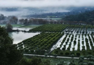 Υπερχείλισε ο ποταμός Καλαμάς στην Ηπειρο: Μηχανήματα απομακρύνουν φερτά υλικά -Ζημιές σε καλλιέργειες