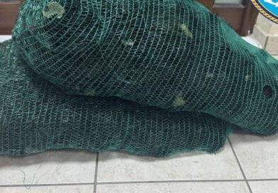 Αλιευτικός έλεγχος στη Σαγιάδα.