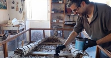 Συντήρηση παπυρέλας στο λαογραφικό μουσείο Σιναράδων