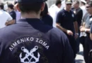 Μυστήριο στην Ηγουμενίτσα- Βρέθηκαν 45 σφαίρες κρυμμένες σε δέντρο έξω από το λιμάνι
