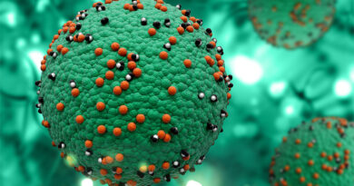 Κέρκυρα – λεπτοσπείρωση: Αναδρομική μελέτη δείχνει θνησιμότητα σημαντικά υψηλότερη από τον μέσο ευρωπαϊκό δείκτη