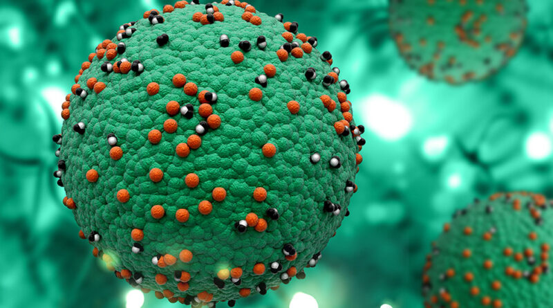 Κέρκυρα – λεπτοσπείρωση: Αναδρομική μελέτη δείχνει θνησιμότητα σημαντικά υψηλότερη από τον μέσο ευρωπαϊκό δείκτη