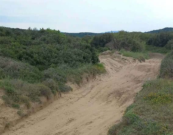 Καταγγελία για «πίστα» enduro στον Αλμυρό Βόρειας Κέρκυρας – Σοβαρές ζημιές σε αμμοθίνες και προστατευόμενο περιβάλλον