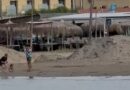 Συμπαράταξη Πολιτών: S.O.S για τις παραλίες μας