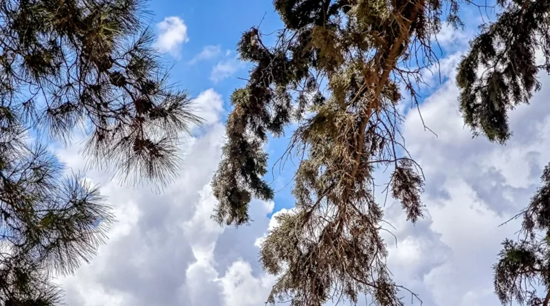Με ηλιοφάνεια, λίγες νεφώσεις, τοπικές βροχές και τη θερμοκρασία στους 33 βαθμούς το σκηνικό του καιρού.