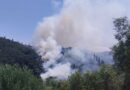 Φωτιά στα Βασιλικά Περίθειας στη Βόρεια Κέρκυρα – Ισχυρές πυροσβεστικές δυνάμεις και εναέρια μέσα στη μάχη
