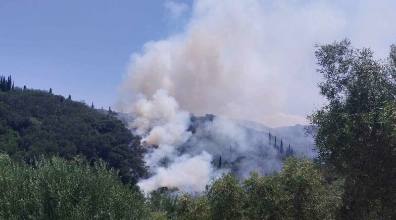 Φωτιά στα Βασιλικά Περίθειας στη Βόρεια Κέρκυρα – Ισχυρές πυροσβεστικές δυνάμεις και εναέρια μέσα στη μάχη