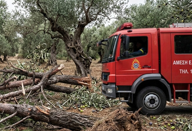 35 επεμβάσεις της Πυροσβεστικής σε λίγες ώρες λόγω των ισχυρών ανέμων στην Κέρκυρα