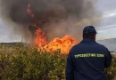 Δύο άνδρες  συνελήφθησαν για πυρκαγιά σε χορτολιβαδική έκταση στη Μέση Κέρκυρας