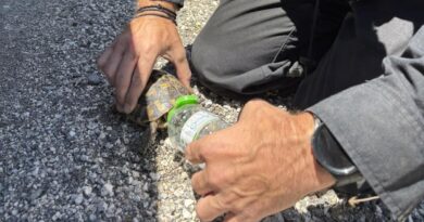 Ο πραγματικός ήρωας προστατεύει κάθε ζωή