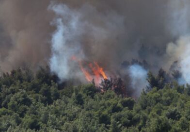 Κεφαλονιά: Υπό έλεγχο η πυρκαγιά – Συνεχίζονται οι προσπάθειες για την αποκατάσταση της ηλεκτροδότησης