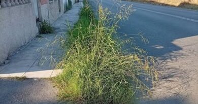 Κουλίνες: Ξεκινά μεγάλη επιχείρηση βαθύ καθαρισμού στα πεζοδρόμια