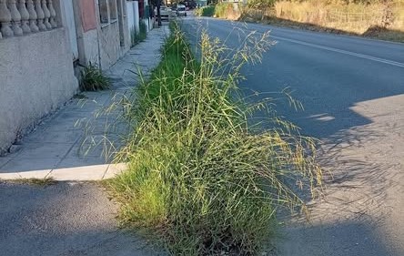 Κουλίνες: Ξεκινά μεγάλη επιχείρηση βαθύ καθαρισμού στα πεζοδρόμια