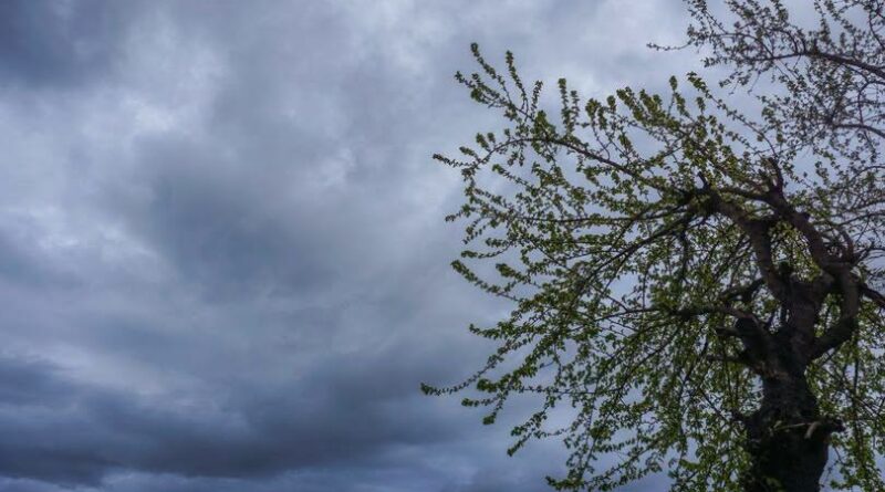 MeteoCorfu | Αυξημένες νεφώσεις, τοπικές βροχές και καταιγίδες – Ενισχυμένοι νοτιάδες στο Βόρειο Ιόνιο